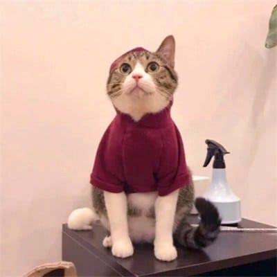 Intan Permata avatar